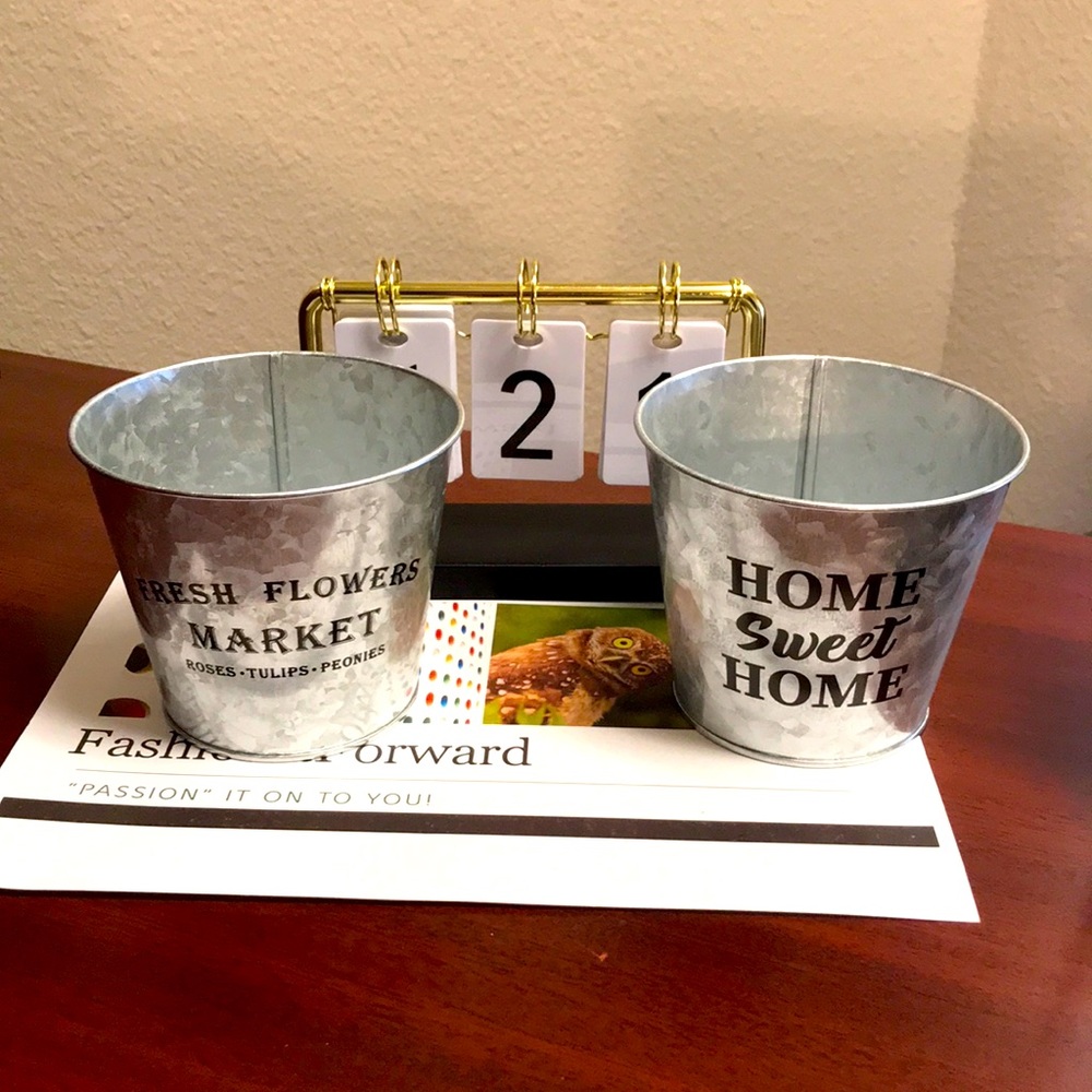 Set of 2 Printed Galvanized Metal Buckets